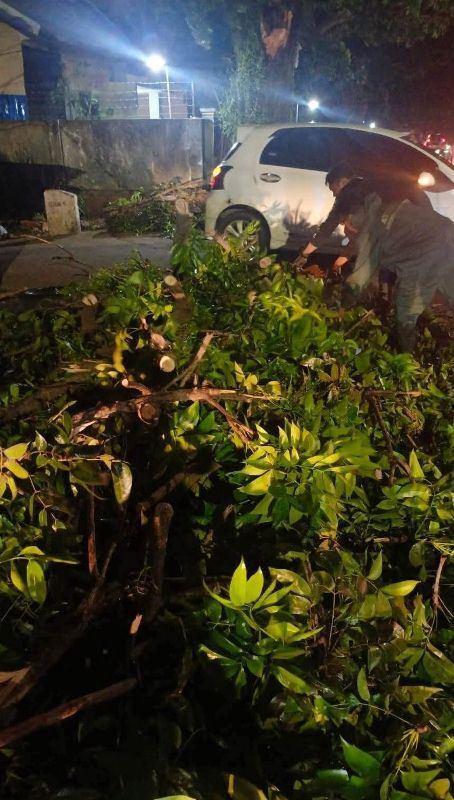 Cuaca Ekstrem, Dedy Wahyudi  Wanti-Wanti OPD Kota Bengkulu Selalu Siaga