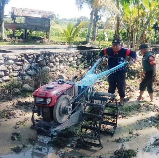 Babinsa  Kodim 0408 Bengkulu Selatan Bantu Petani Turun ke Sawah 