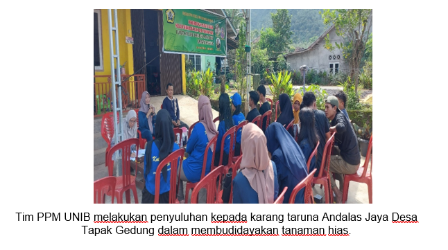 Ajak Karang Taruna Berwirausaha, PPM Unib Ajarkan Teknik Budidaya Tanaman Hias di Desa Tapak Gedung, Kepahiang