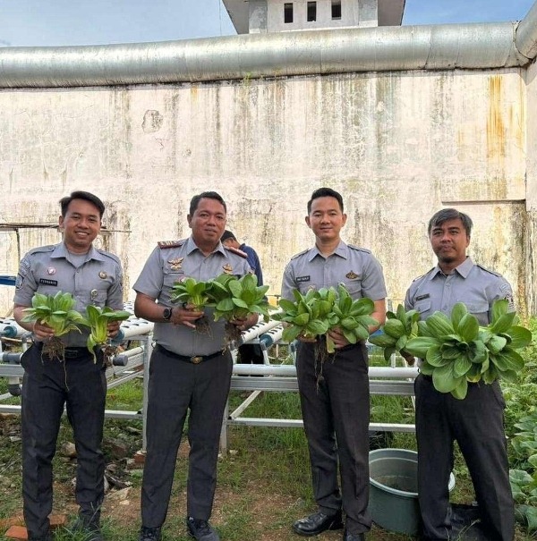  Rumah Tahanan Kelas IIB Bengkulu Panen Sayur Pakcoy