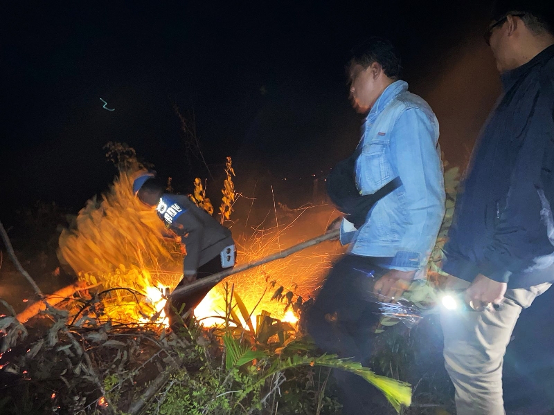 5 Hektar Kebun Sawit di Desa Tanjung Aur 1 Terbakar 