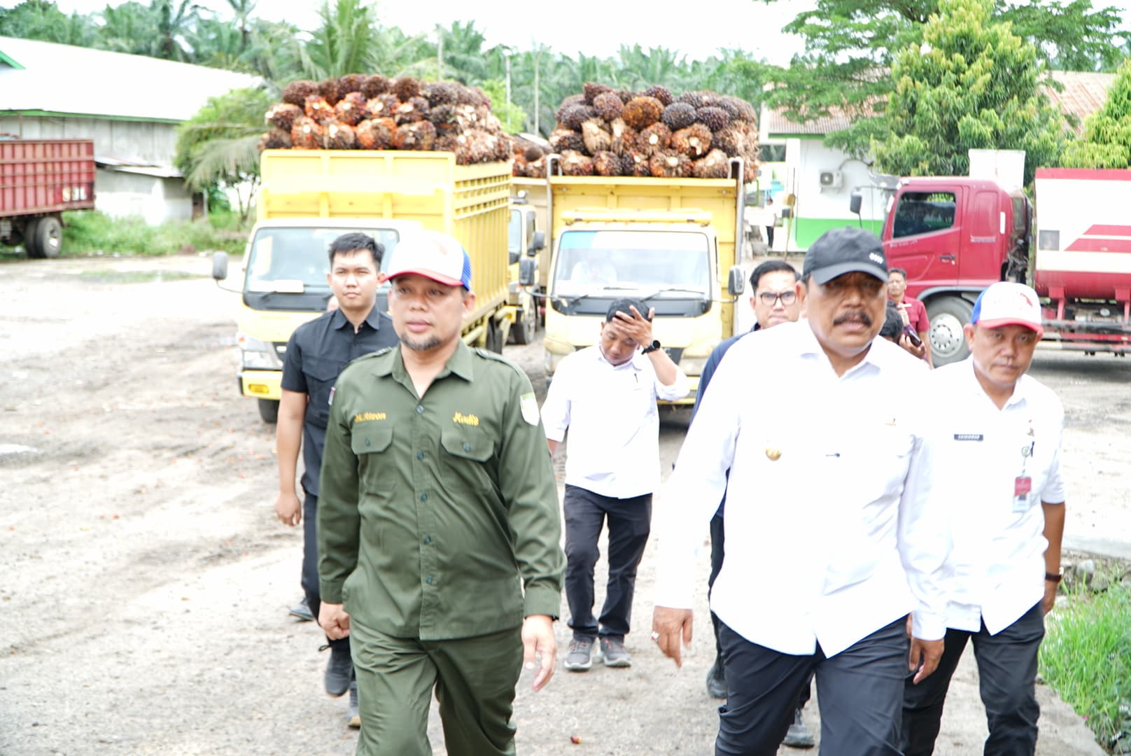 Wagub Mian Geram PT Surya Andalan Primatama Mukomuko Langgar Ketentuan Harga TBS