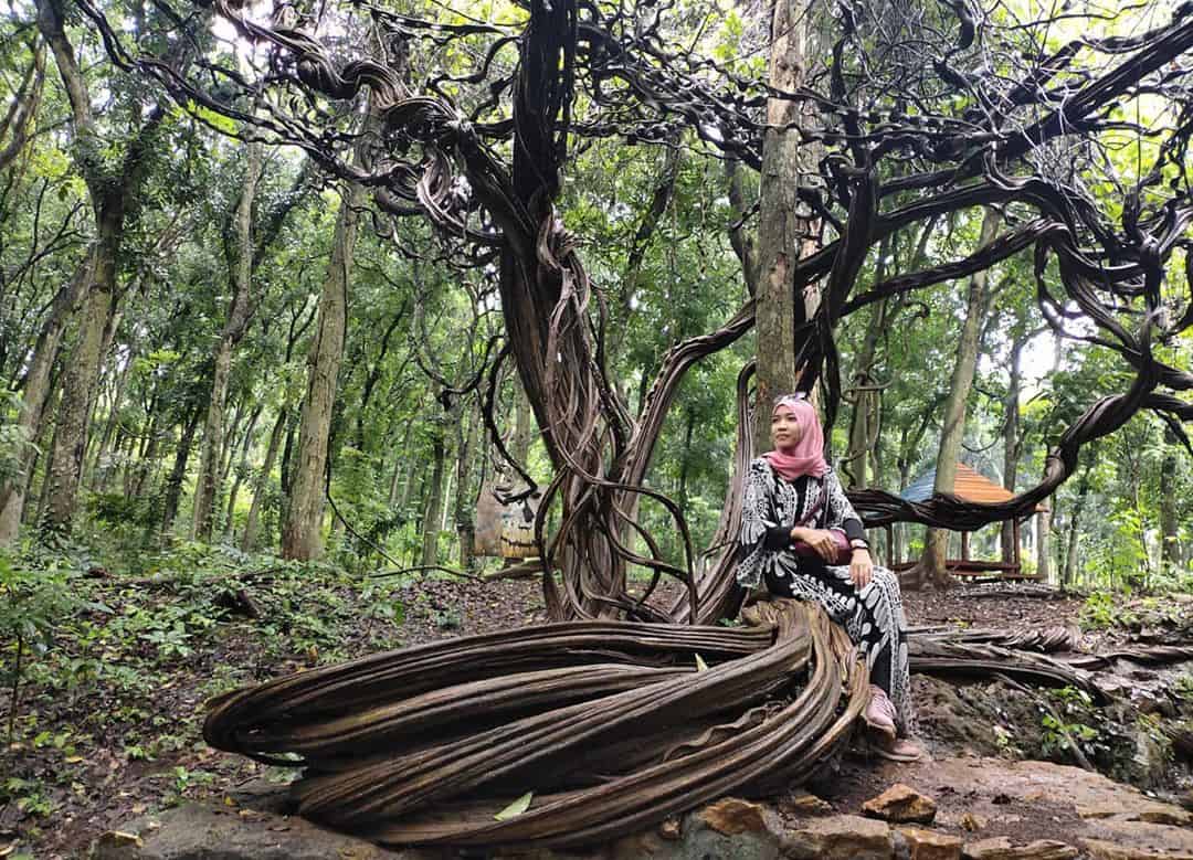 Wisata Trinil Sky Route Lamongan, Terkenal dengan Nama Akar Langit, Mari Kita Kunjungi Bersama Keluarga