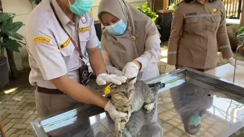 Sukses, Balai Karantina Bengkulu Gelar Donor Darah dan Vaksinasi Rabies Gratis 