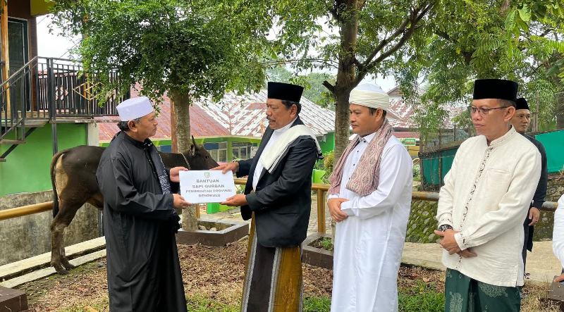  Pemprov Bengkulu Berbagi Kurban, Dua Ekor Sapi Diserahkan ke Masjid Baitul Izzah