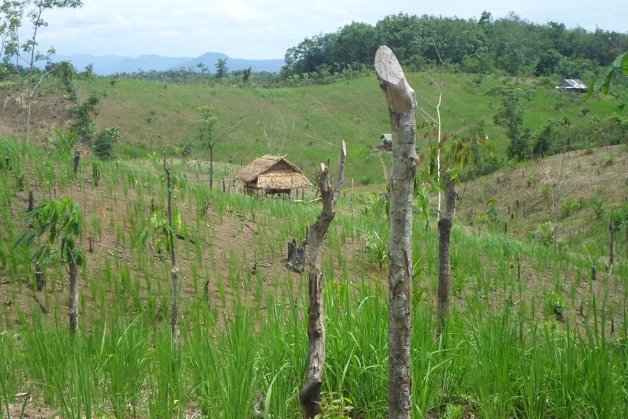 ﻿Potensi Lahan Tidur di Bengkulu Tengah  Masih Besar