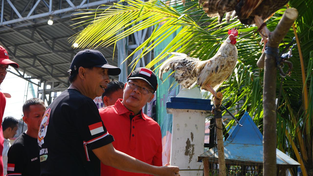 Dalam Pameran Ayam Berugo 2024 : Gubernur Bengkulu Tekankan Pentingnya Pelestarian Hutan