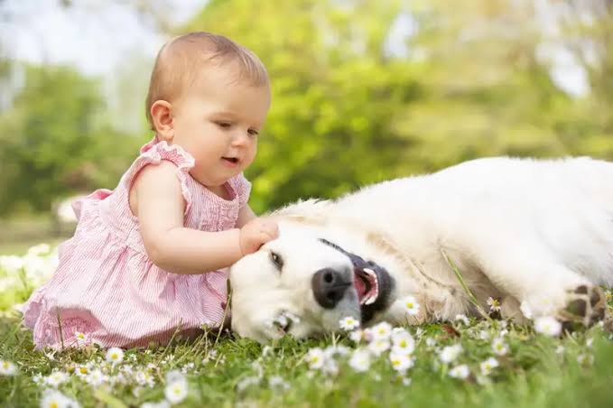 Ternyata ini 5 Manfaat Merawat Anjing Bagi Bayi dan Balita 