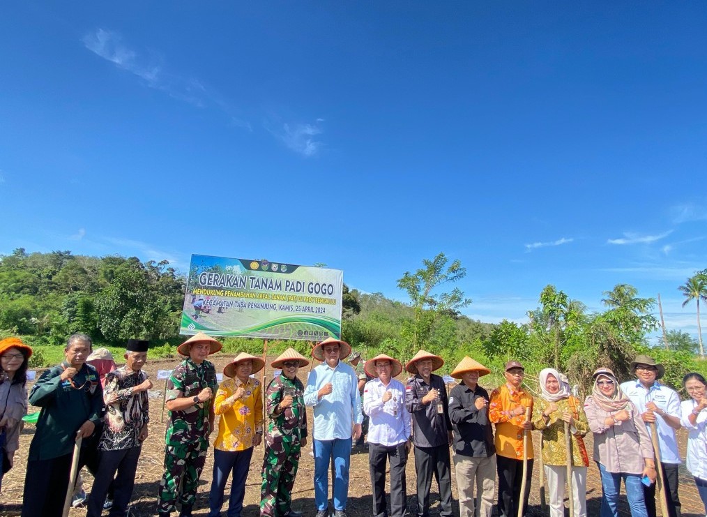  Kementerian Pertanian Lakukan Penanaman Padi Gogo di Kecamatan Taba Penanjung