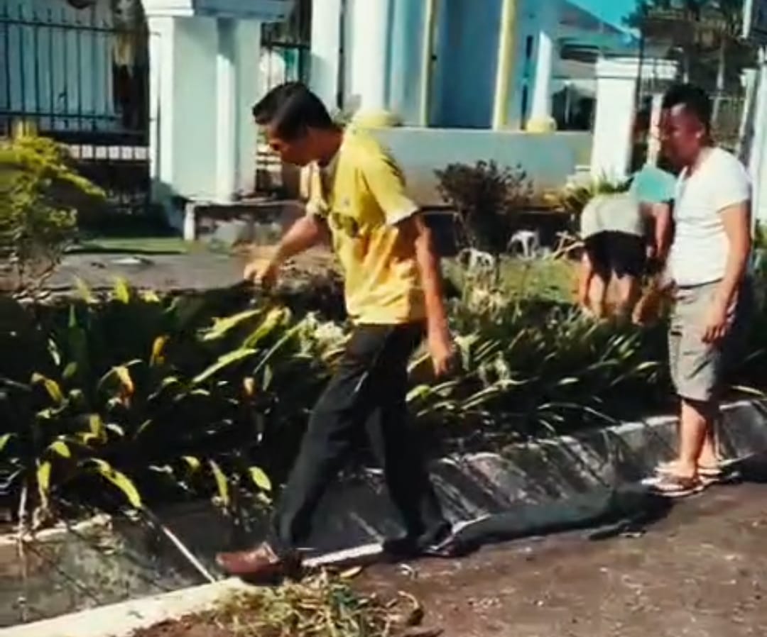 Sambut Hari Raya, Bupati Gusril Bersih-Bersih Lingkungan Rumah Dinas 