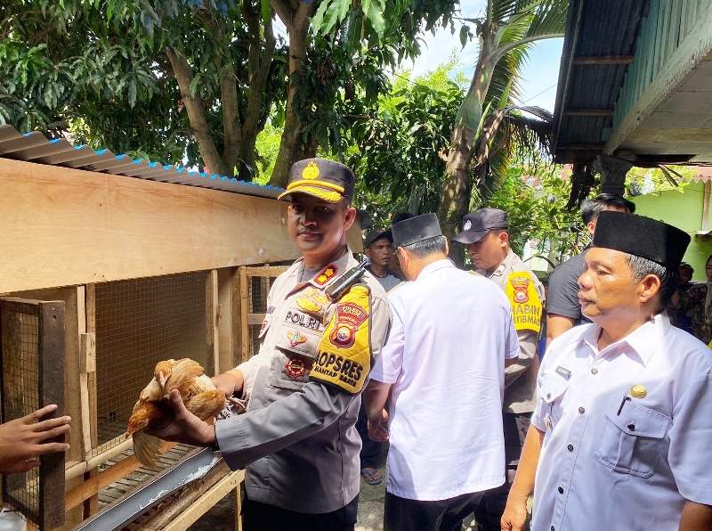 Peduli Stunting di Desa Talang Marap,  Polres Kaur Bantu 25 Ekor Ayam Petelur Elba dan 1 Mesin Tetas 