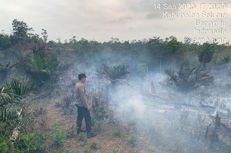 Damkar Seluma Kesulitan Padamkan Api,   3 Hektar Lahan Kebun Sawit di Pagar Agung Terbakar