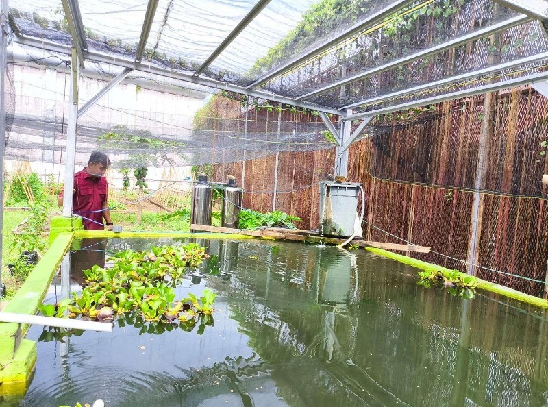 Dukung Ketahanan Pangan, Rutan Bengkulu Kembangkan Penanaman Buah dan  Perikanan