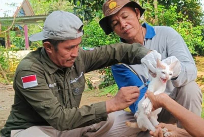 Ada 106 Kasus, Stok Vaksin Hewan Penular Rabies di Seluma Sudah Habis