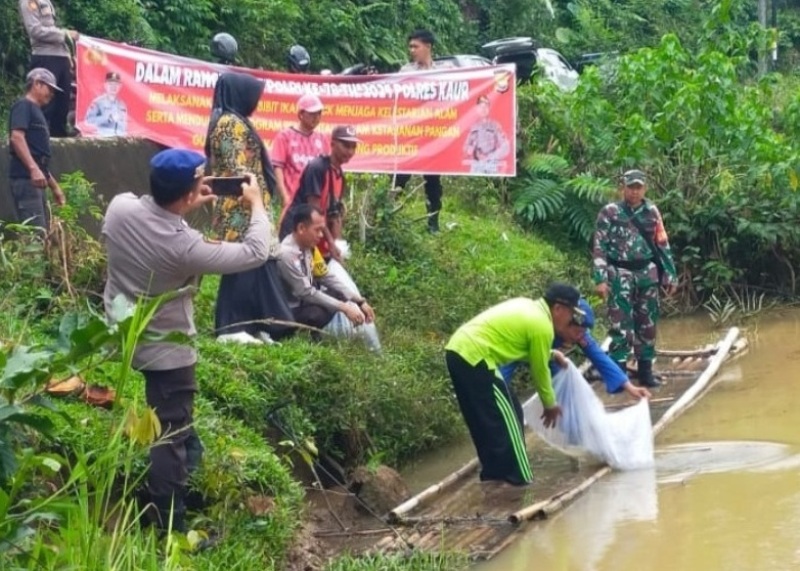 Pol Airud Polres Kaur Tebar 10.000 Benih Ikan di Muara Tetap