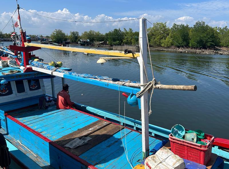 Asyiknya Mancing di  Hutan Mangrove, Nikmati Alam Sambil Santai