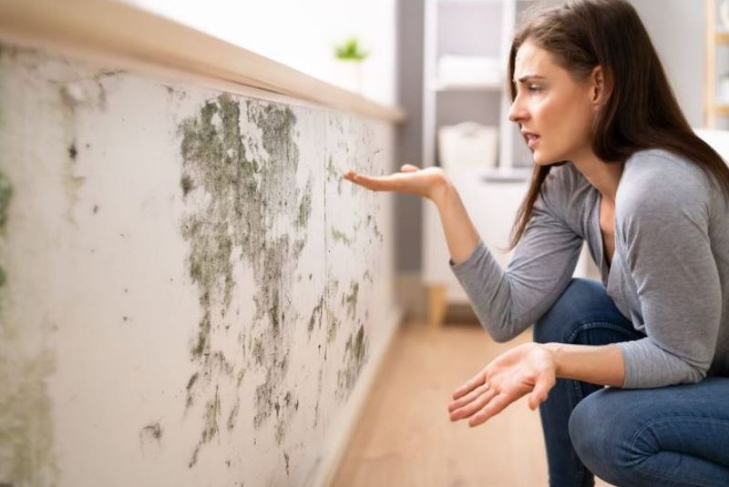 Agar Tidak Muncul Lagi, Ini  Cara Ampuh Atasi Tembok Lembab dan Berjamur 