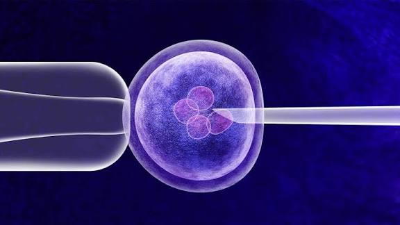 Germline Therapy: Harapan Baru atau Garis Merah Medis?