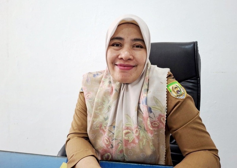 Hasil Seleksi  PPPK Tahap II Diumumkan BKD Provisinsi Bengkulu, Penetapan Nomor Induk  Agustus