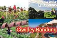 3 Tempat Wisata Yang Ada Di Ciwidey Bandung, Pilihan Tepat Liburan Bersama Keluarga