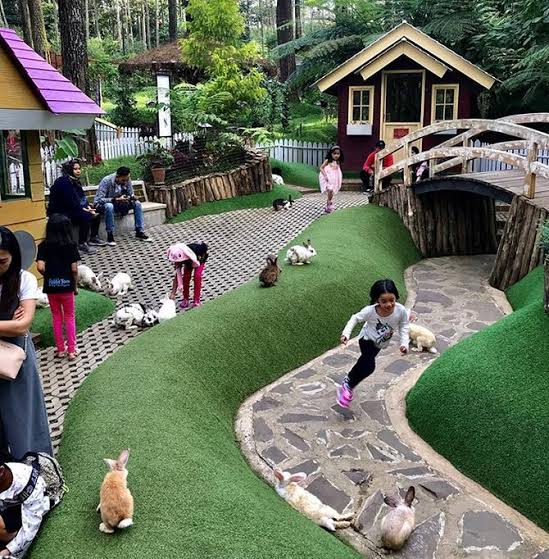 Rabbit Forrest Wisata Edukasi di Bandung Barat, Tempat yang Cocok Untuk Anak-Anak Berlibur