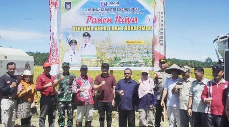 Panen Raya, Bupati Bengkulu Utara  Ajak   Petani Wujudkan Swasembada Pangan