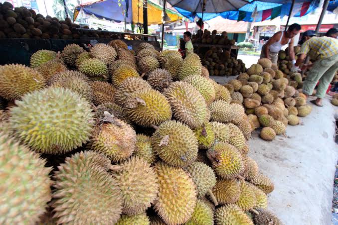 Ini 3 Tempat Kuliner Serba Durian di Jogja dengan Harga Terjangkau, Kamu Pecinta Durian yuk Merapat 