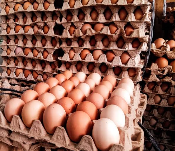 Benarkah Telur Warna Coklat Lebih Bergizi dari Telur Warna Putih? 