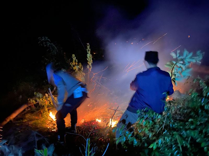  Terungkap, 5 Hektar Lahan Kebun Sawit Terbakar Itu Milik Kades dan Warga
