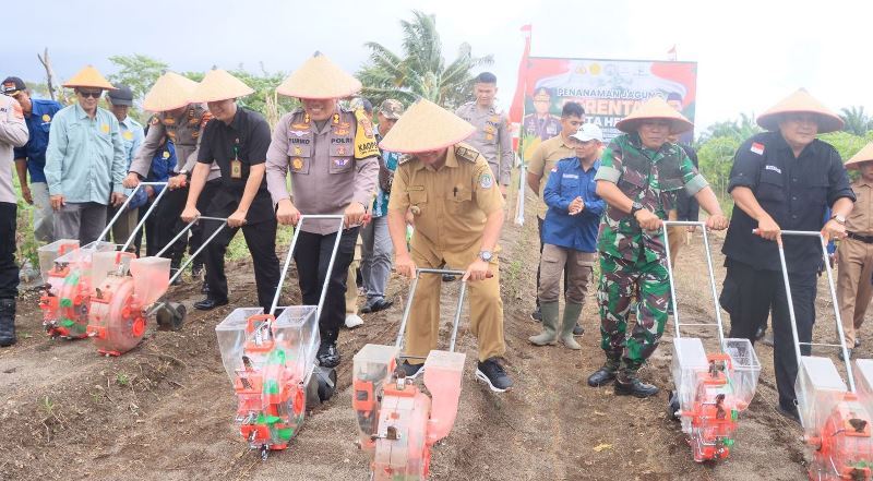  Polres  Tanam Jagung Seluas 35 Hektare di Kabupaten Kaur