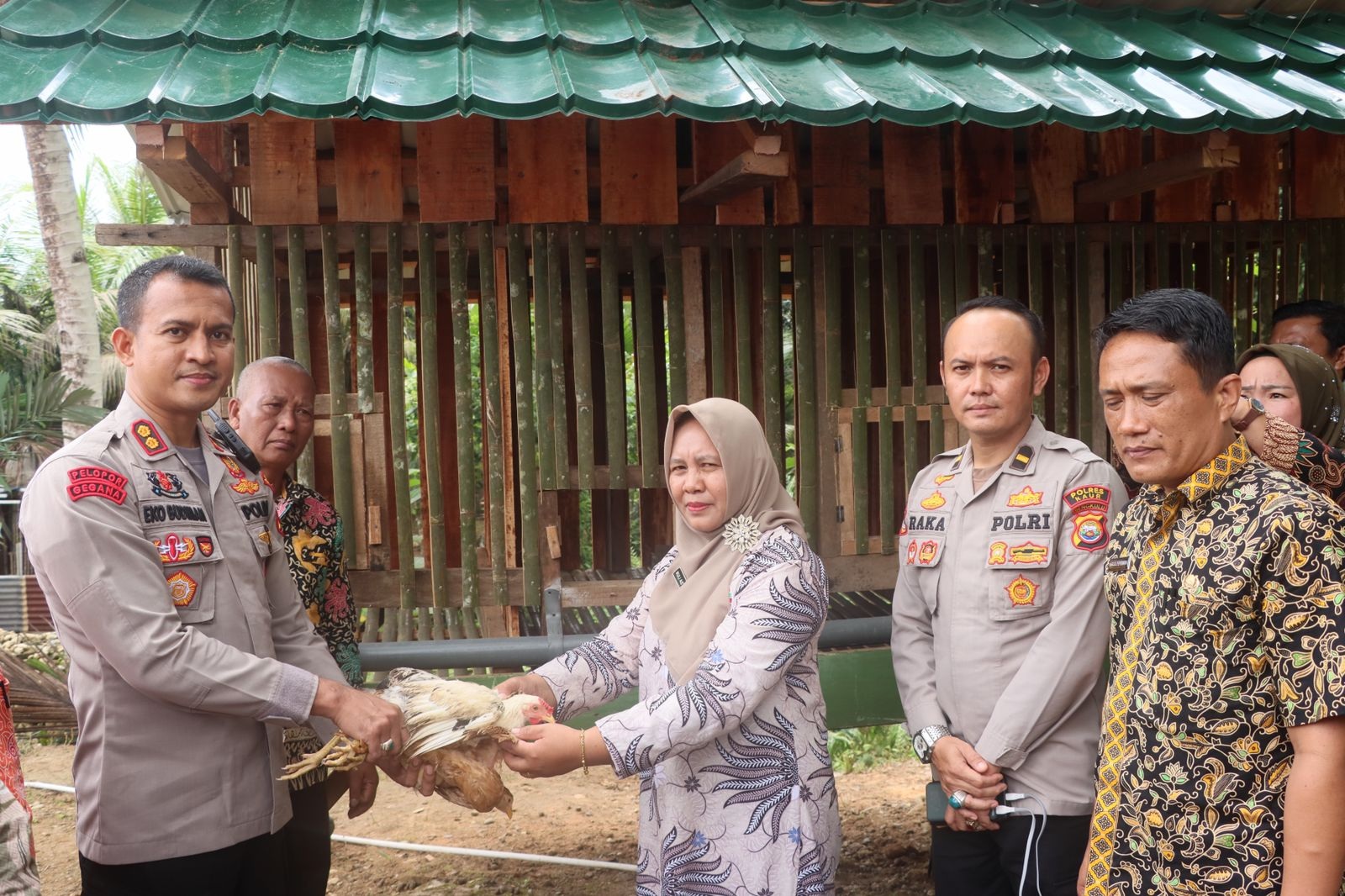 Untuk Cegah Stunting, Kapolres Kaur Ajak Masyarakat Beternak Ayam Petelur Elba,  Ini Keunggulannya