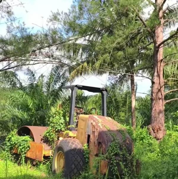 Bupati Teddy Rahman  Prihatin, Alat Berat PU Seluma  Banyak yang Rusak