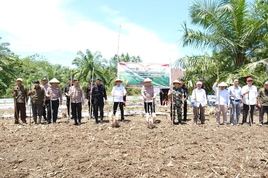 Sinergitas Polres Kaur dan Pemda Kaur tanam jagung serentak kuartal IV untuk mendukung swasembada pangan 