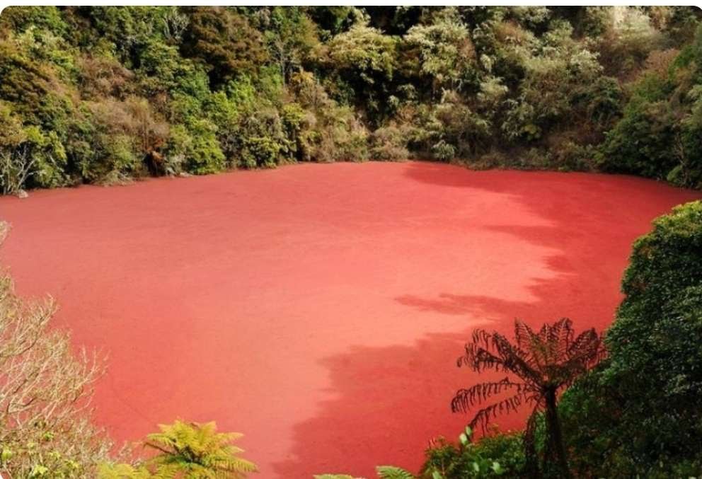 Konon Ada Kaitannya Dengan Kerajaan Palembang, Danau Berbatasan Dengan Sumsel Ini Recommed Bagi Fansnya Uji Ad