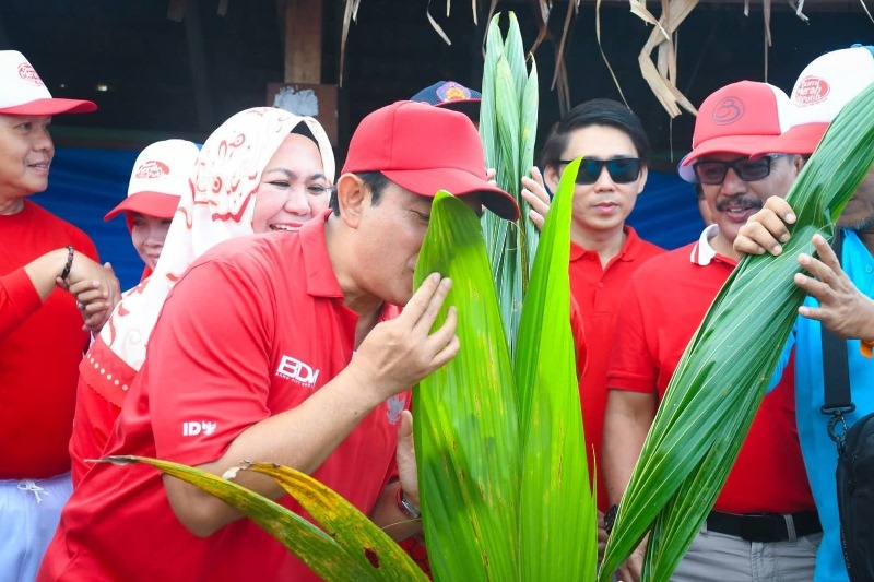 Dedy Wahyudi: Bibit  Kelapa Yang Ditanam Harus Dijaga Betul Sampai Tumbuh