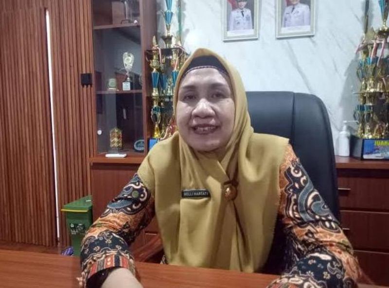 Dinas Kesehatan  Ajak  Masyarakat  Lebih Waspada Terhadap Nyamuk DBD