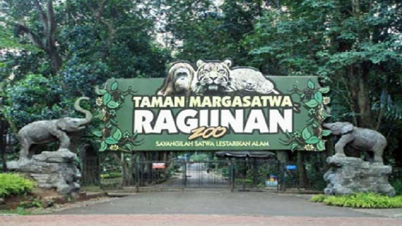 Bingung Menuju Wisata Taman Margasatwa Ragunan? Coba Ikuti Petunjuk Jalan Ini, Ada Dua Pintu Masuknya