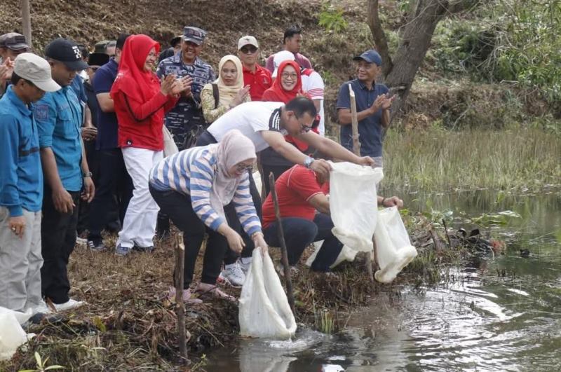 Bupati Seluma Lepaskan 18 Ribu Bibit Ikan Nila 