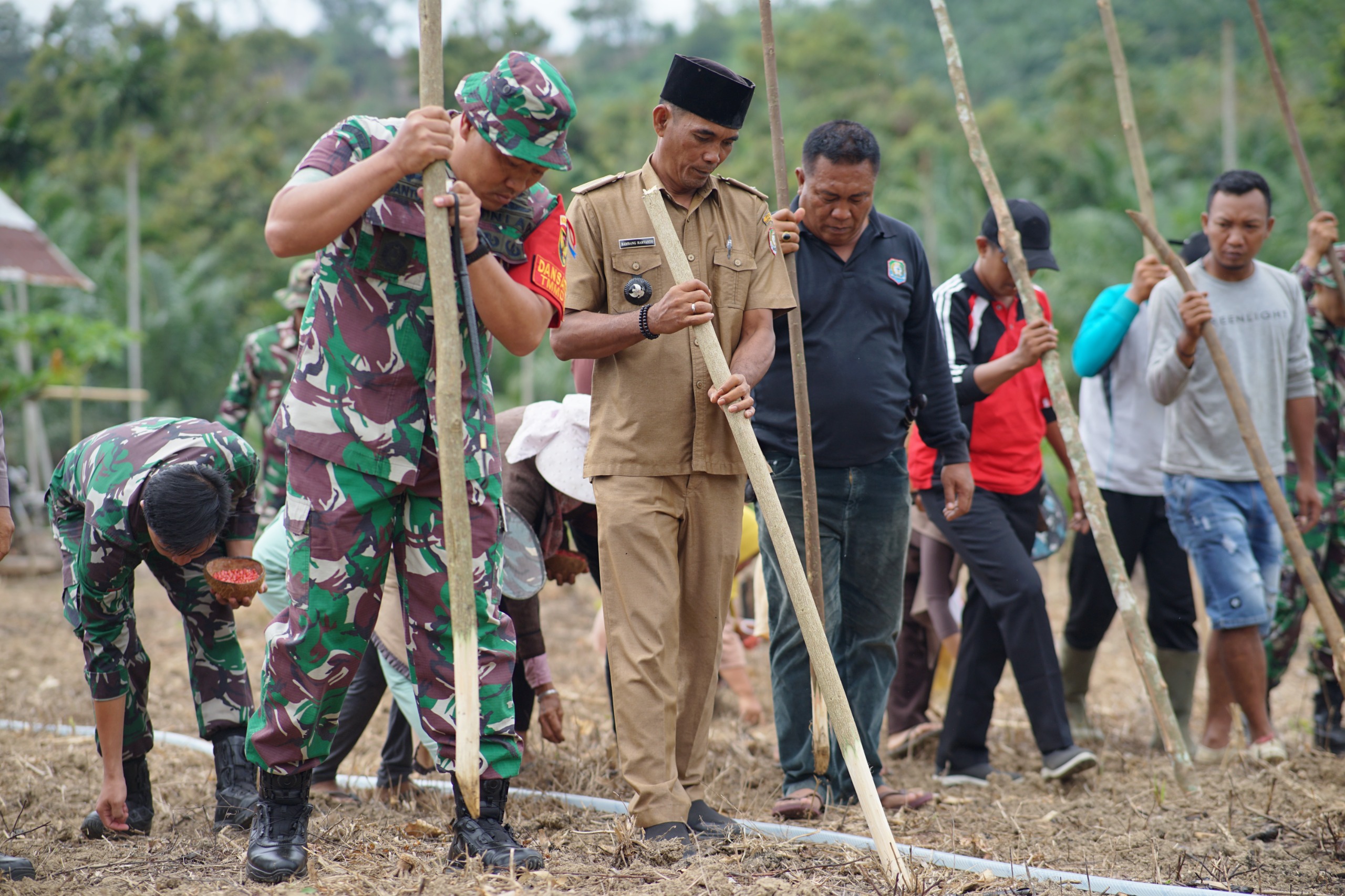 Sukseskan Program Unggulan KASAD, Dansatgas TMMD Ke-124 Kodim 0408/BS Tanam Jagung Bersama