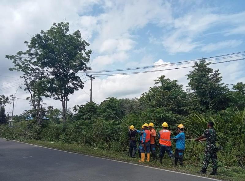 Jaga Instalasi Listrik Bersama, PLN Ajak   Masyarakat Waspada Aktivitas Berbahaya di Sekitar Aset Kelistrikan