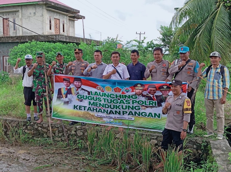 Jajaran Polsek Seginim Tanam Padi di Area Persawahan Pajar Bulan Seginim