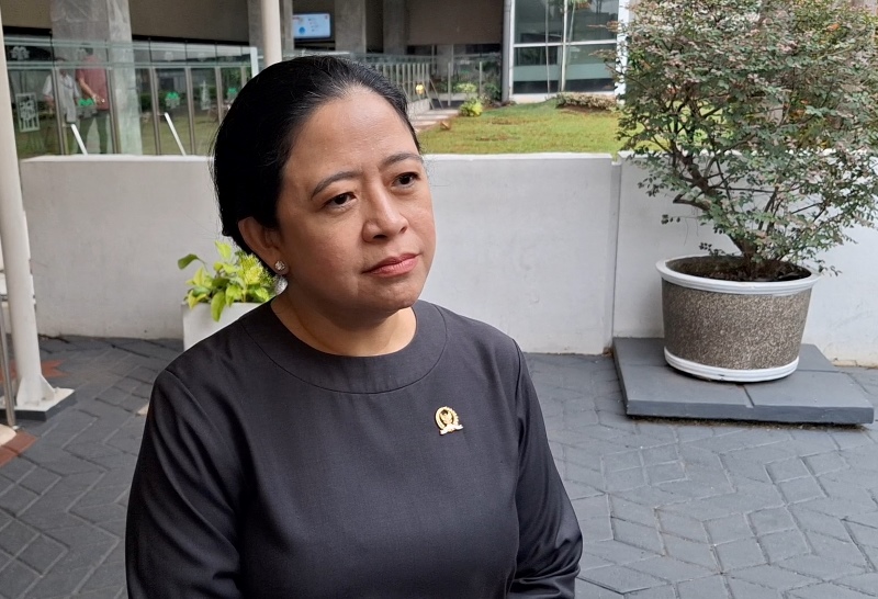 Dugaan Alih Fungsi Lahan Pasca Kebakaran Hutan dan Lahan Harus Diselidiki