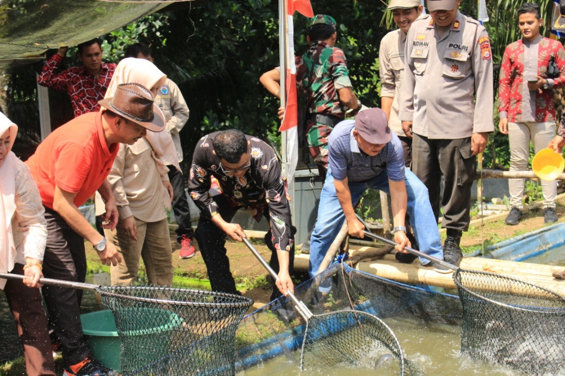PJ Bupati Benteng Panen Raya   Ikan Lele di Desa Taba Pasmah