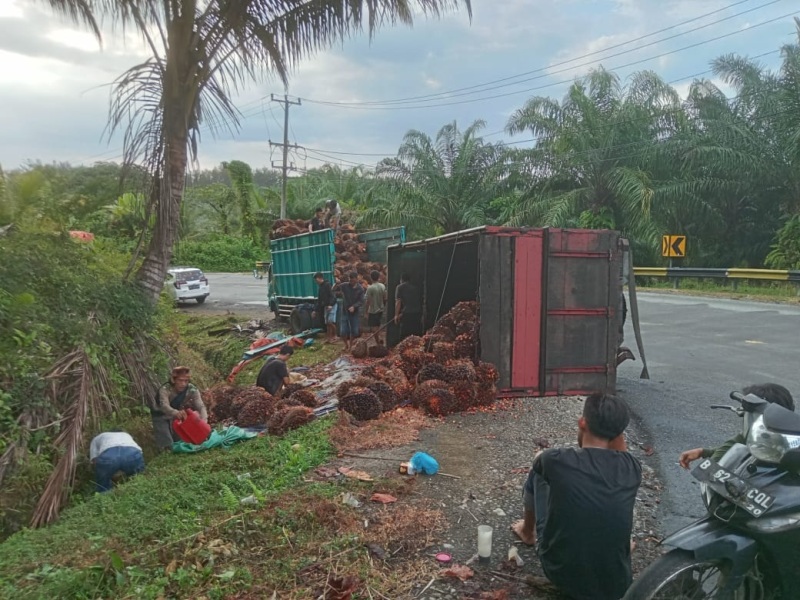  Truk Muatan Sawit 8 Ton Terguling Ditikungan Perigi Linau, Sopir Langsung Melompat