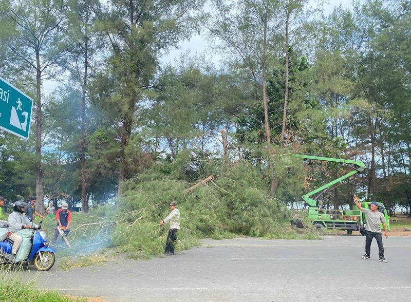 Demi Tarik Wisatawan, Penataan dan Kebersihan  Pantai Panjang Rutin Dilakukan