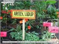 Stamina Anti-Drop! Ini Daftar Apotek Hidup yang Wajib Ada di Dapur Jelang Puasa