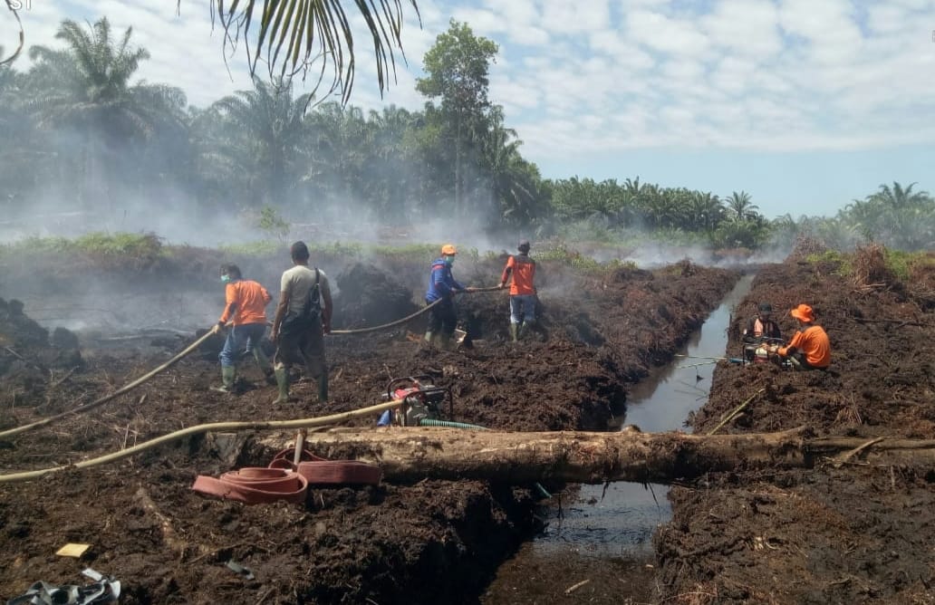 Info Terkini Dugaan Penyebab Kebakaran Lahan Gambut Desa Kota Praja Mukomuko