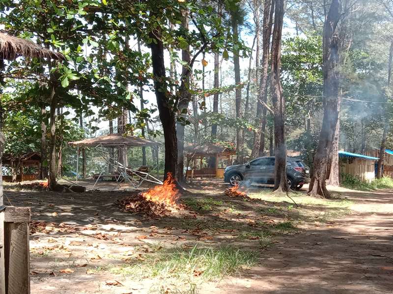 Disayangkan, Pengunjung Pantai Panjang Bengkulu Keluhkan Asap Pembakaran Sampah 