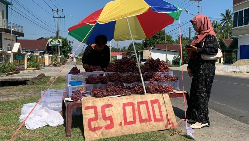 Bisnis Buah Anggur di Bengkulu Laris Manis