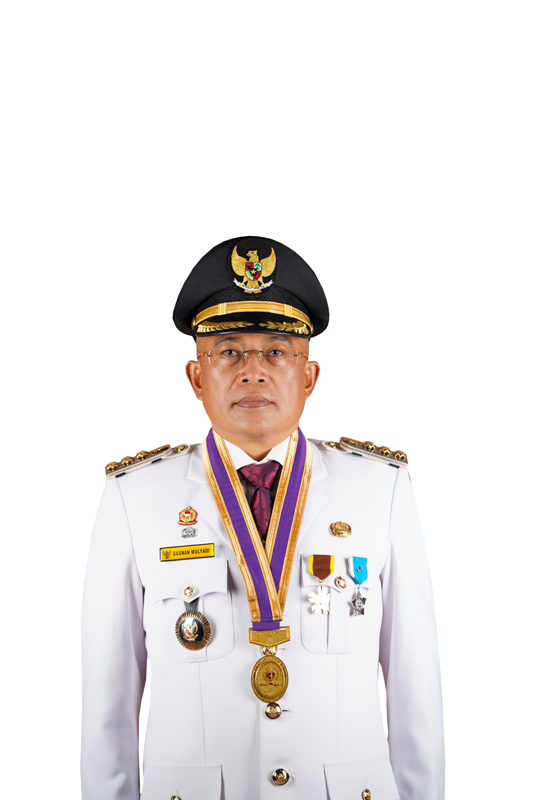Sedang Diproses, Akhirnya Pemerintah Kabupaten Bengkulu Selatan Usul Pengadaan CPNS Tahun 2024